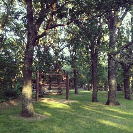 A picnic shelter in the middle of a grassy field