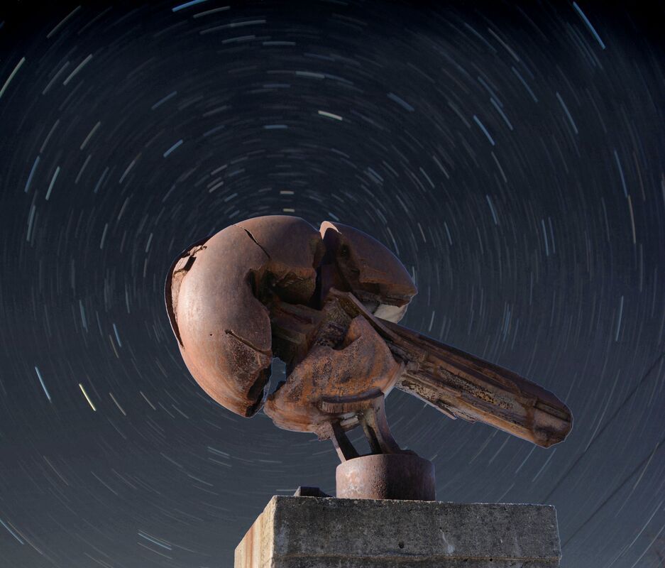 A statue of a bird with a long beak is surrounded by stars