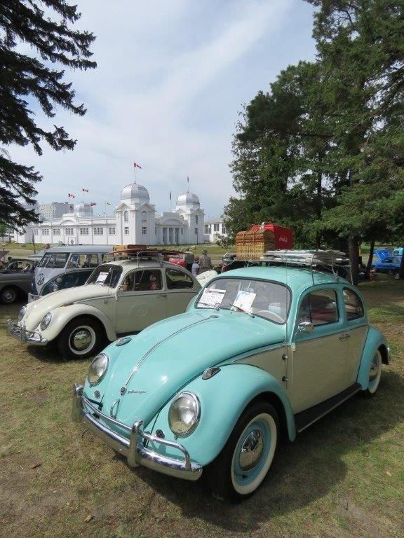 A volkswagen beetle is parked in a grassy field