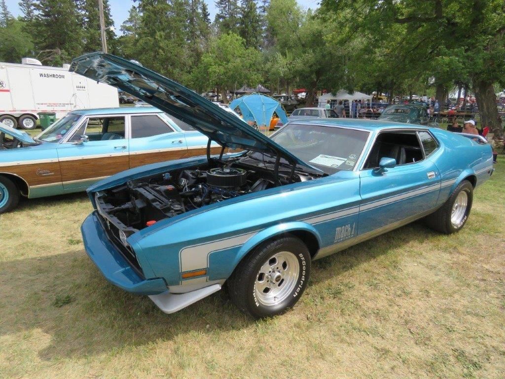 A blue car with the hood up is parked in the grass.