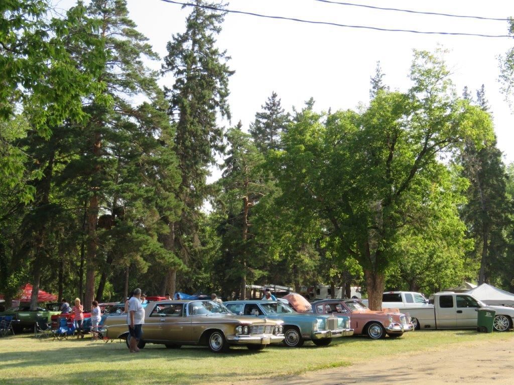 A row of cars are parked in a grassy area with trees in the background