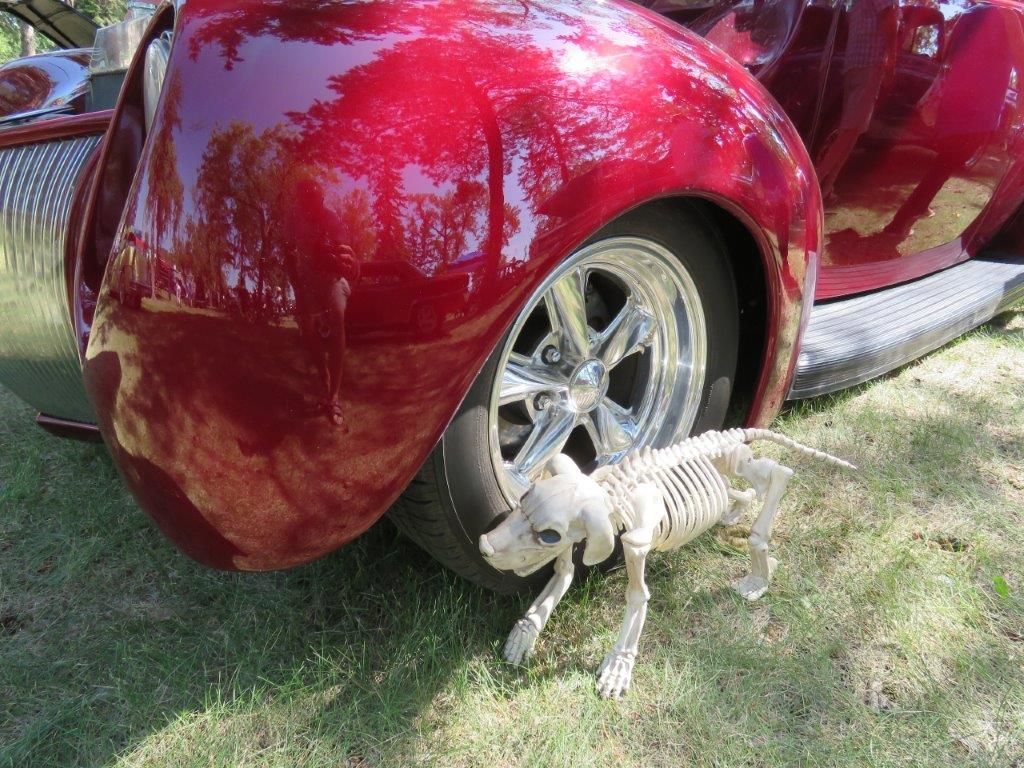 A skeleton of a dog is sitting next to a red car.