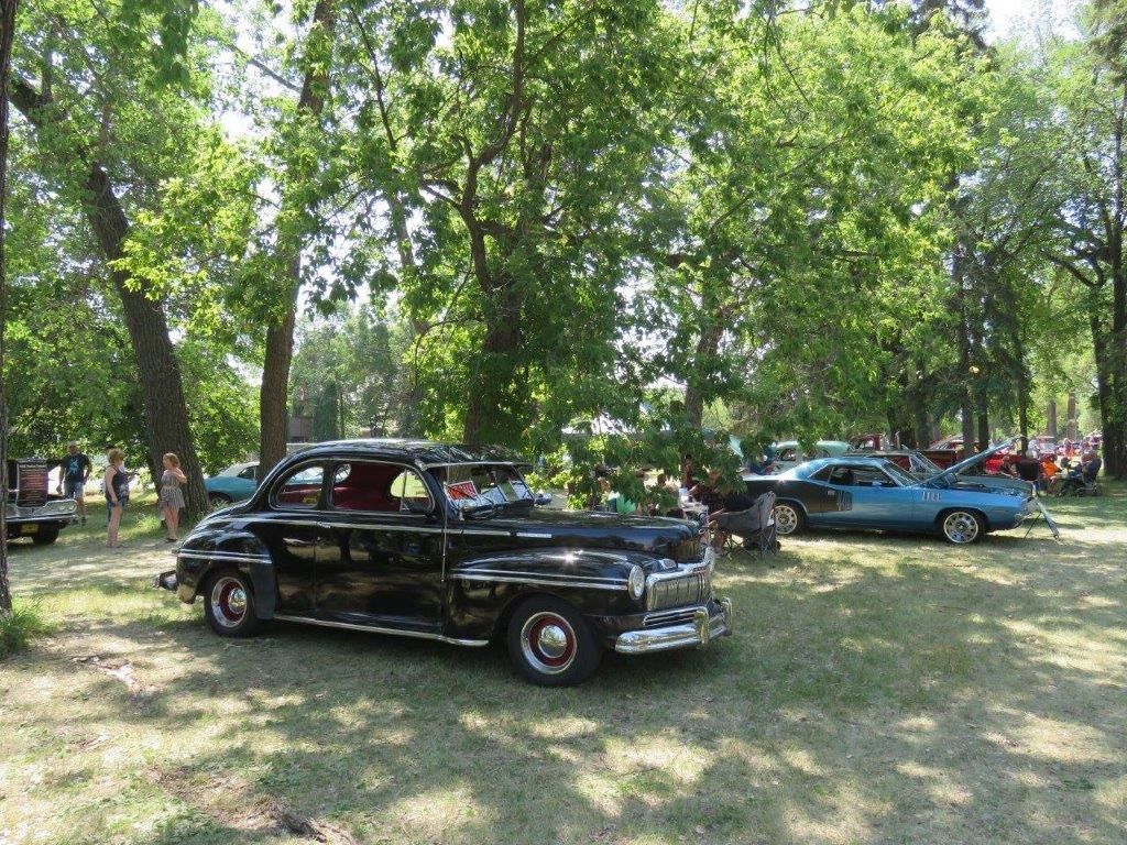 A black car is parked in a grassy field surrounded by trees.