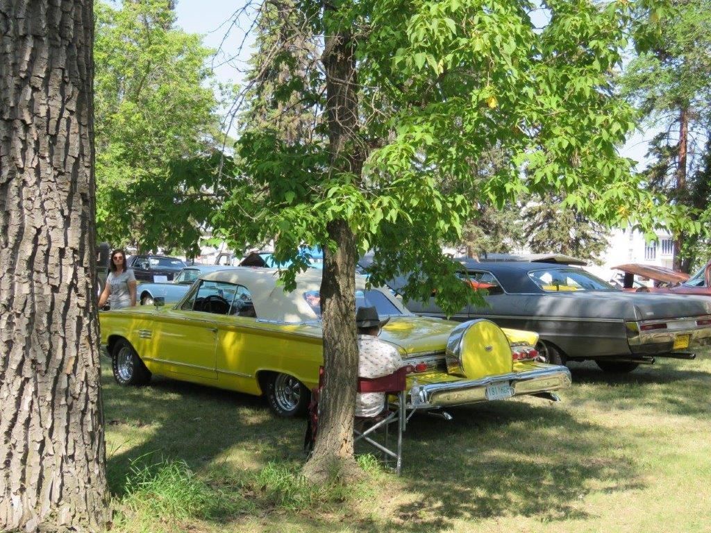 A yellow car is parked under a tree at a car show.