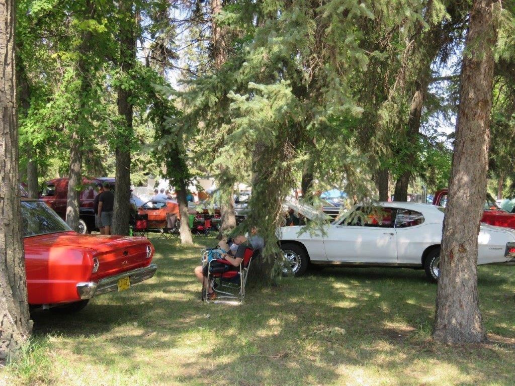 A man in a wheelchair is sitting under a tree next to a red car.
