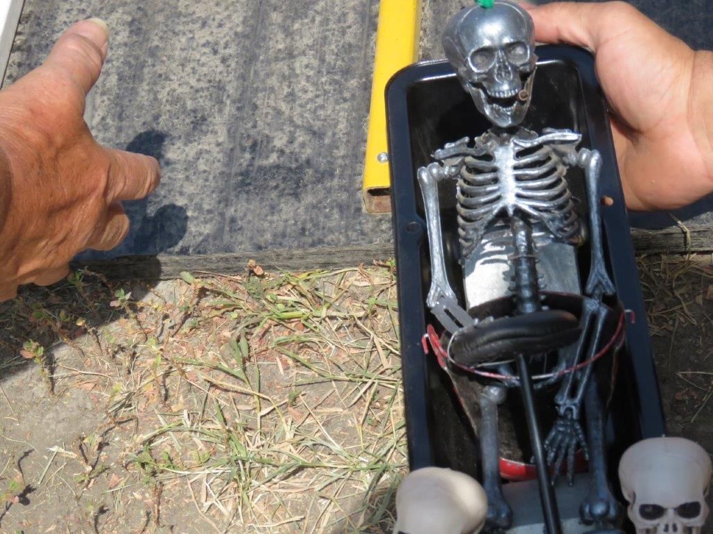 A person is holding a skeleton and two skulls
