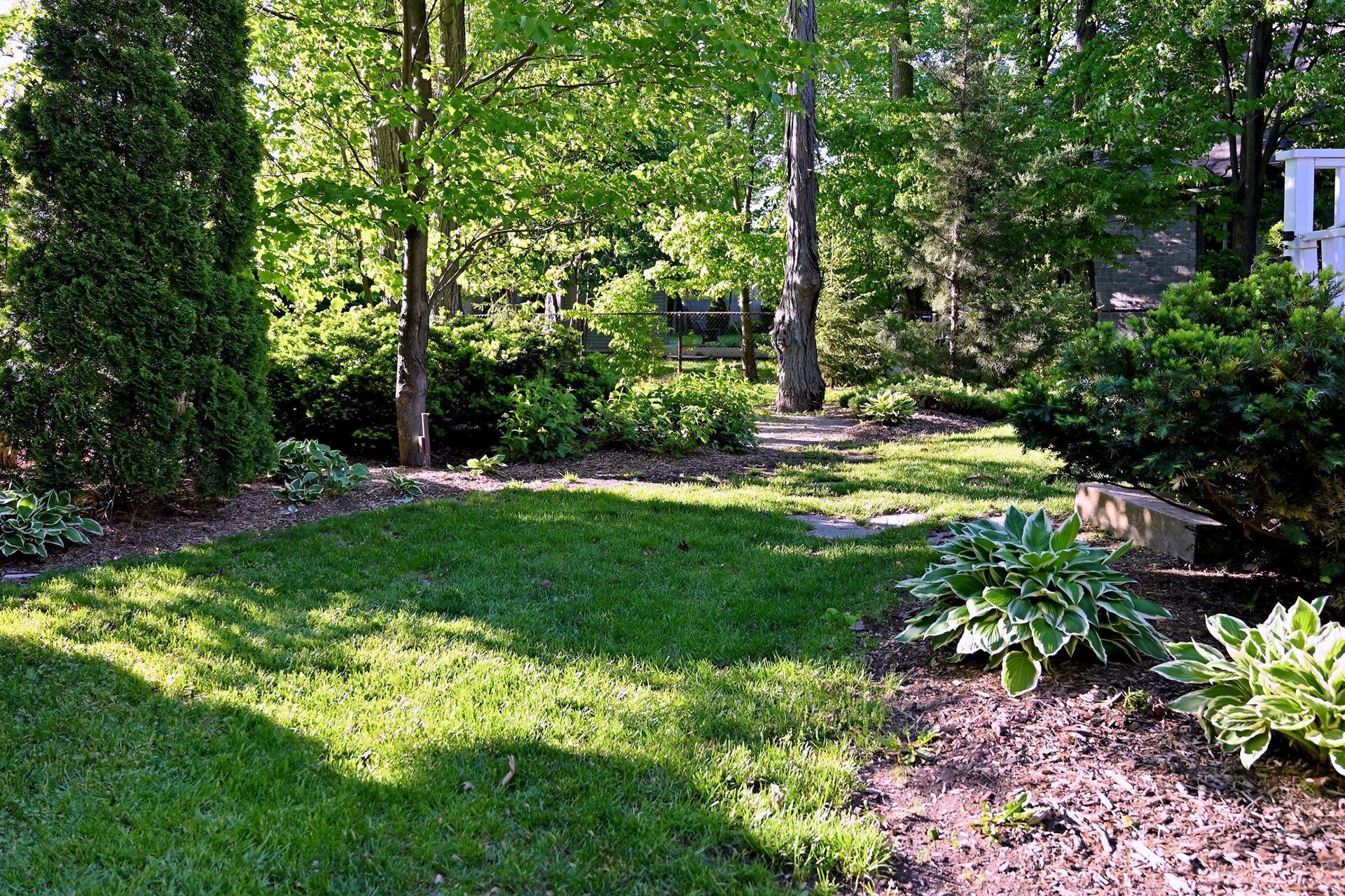 a lush green lawn surrounded by trees and bushes in a backyard .