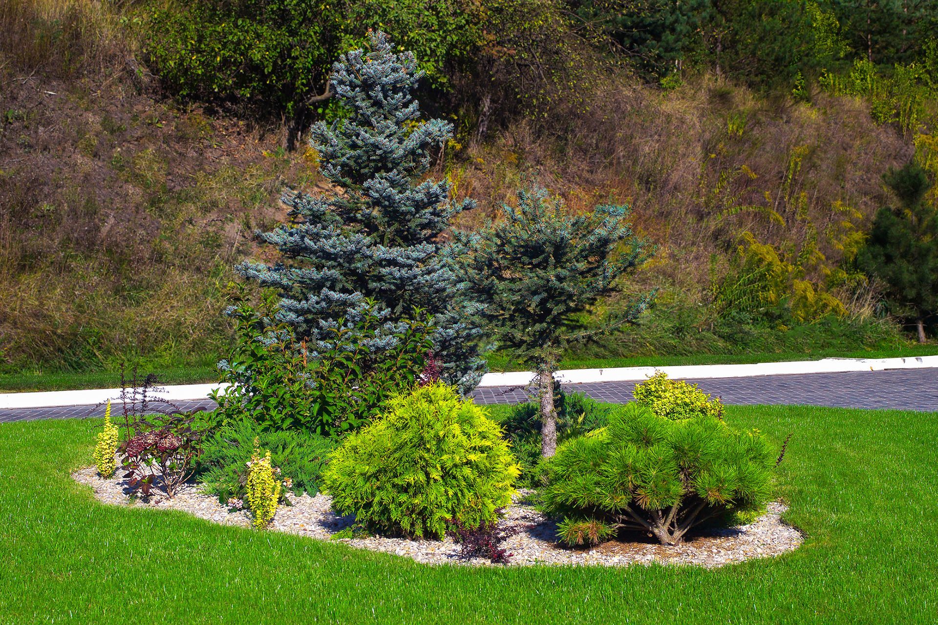 a small garden with trees and bushes in the middle of a lush green field .