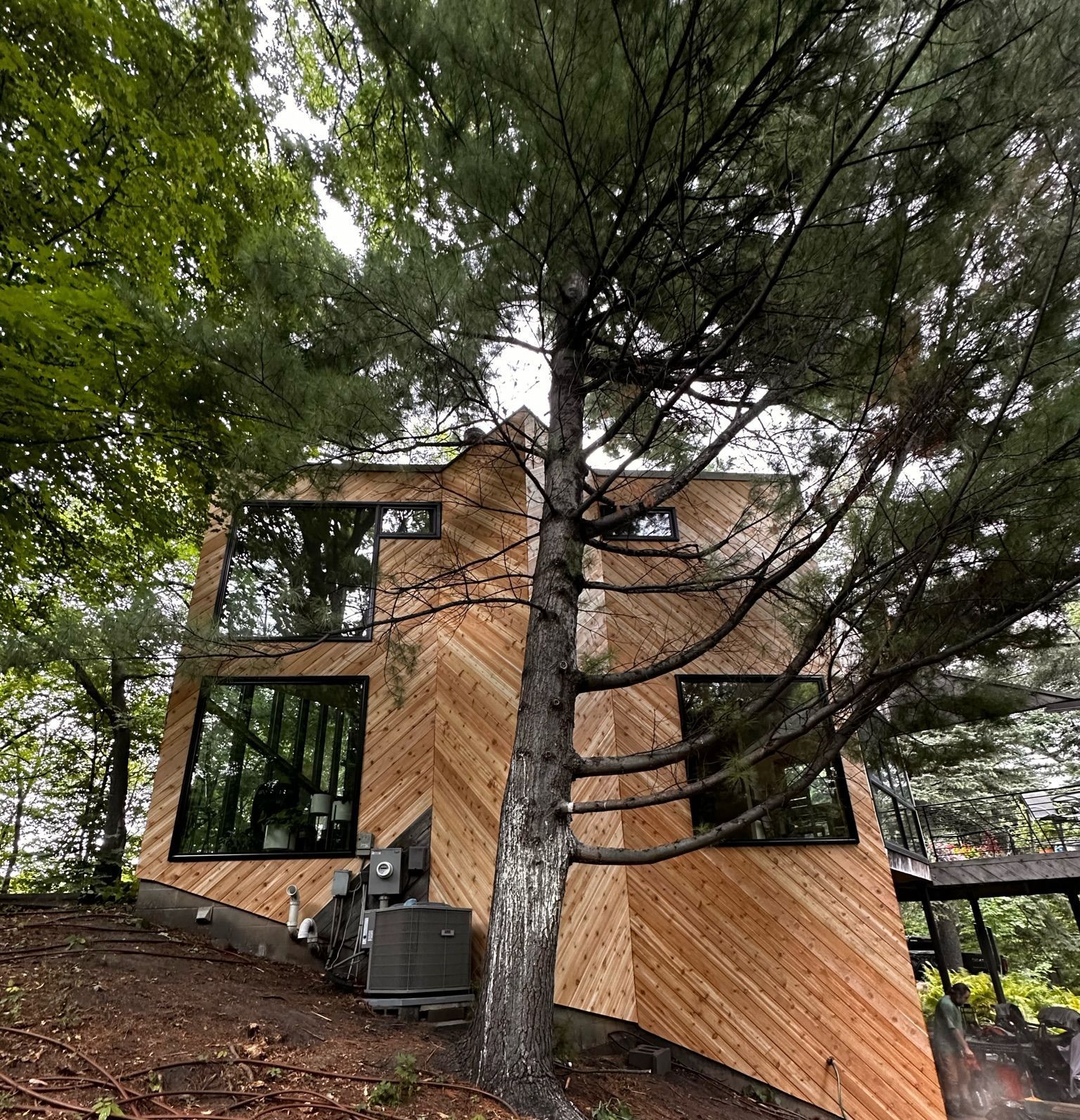 A wooden house with a lot of windows is surrounded by trees.