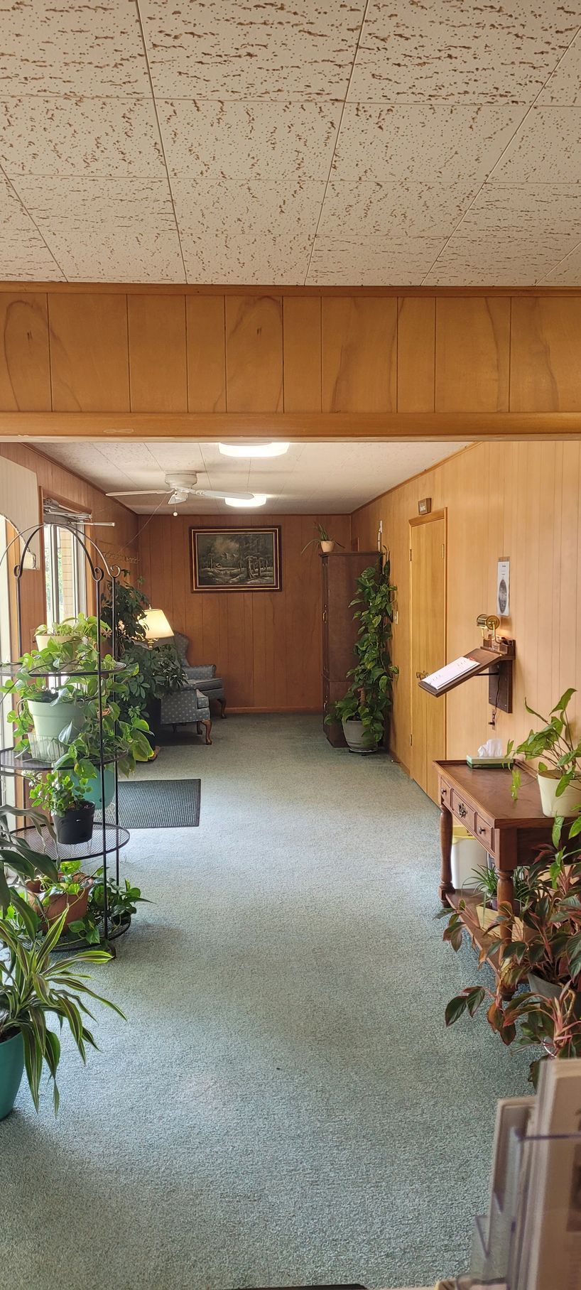 A long hallway filled with plants and furniture in a house.