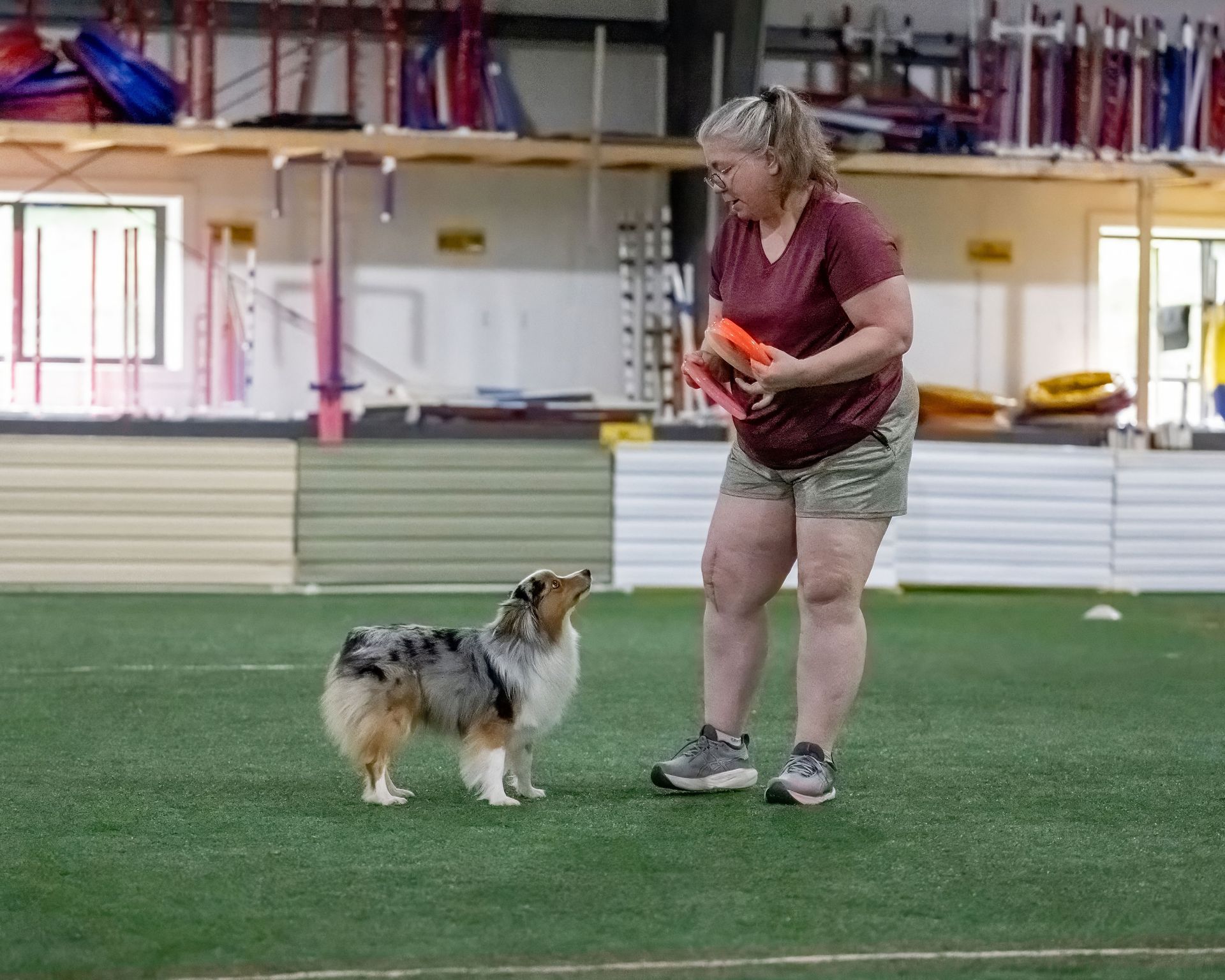 Female human and dog playing frisbee