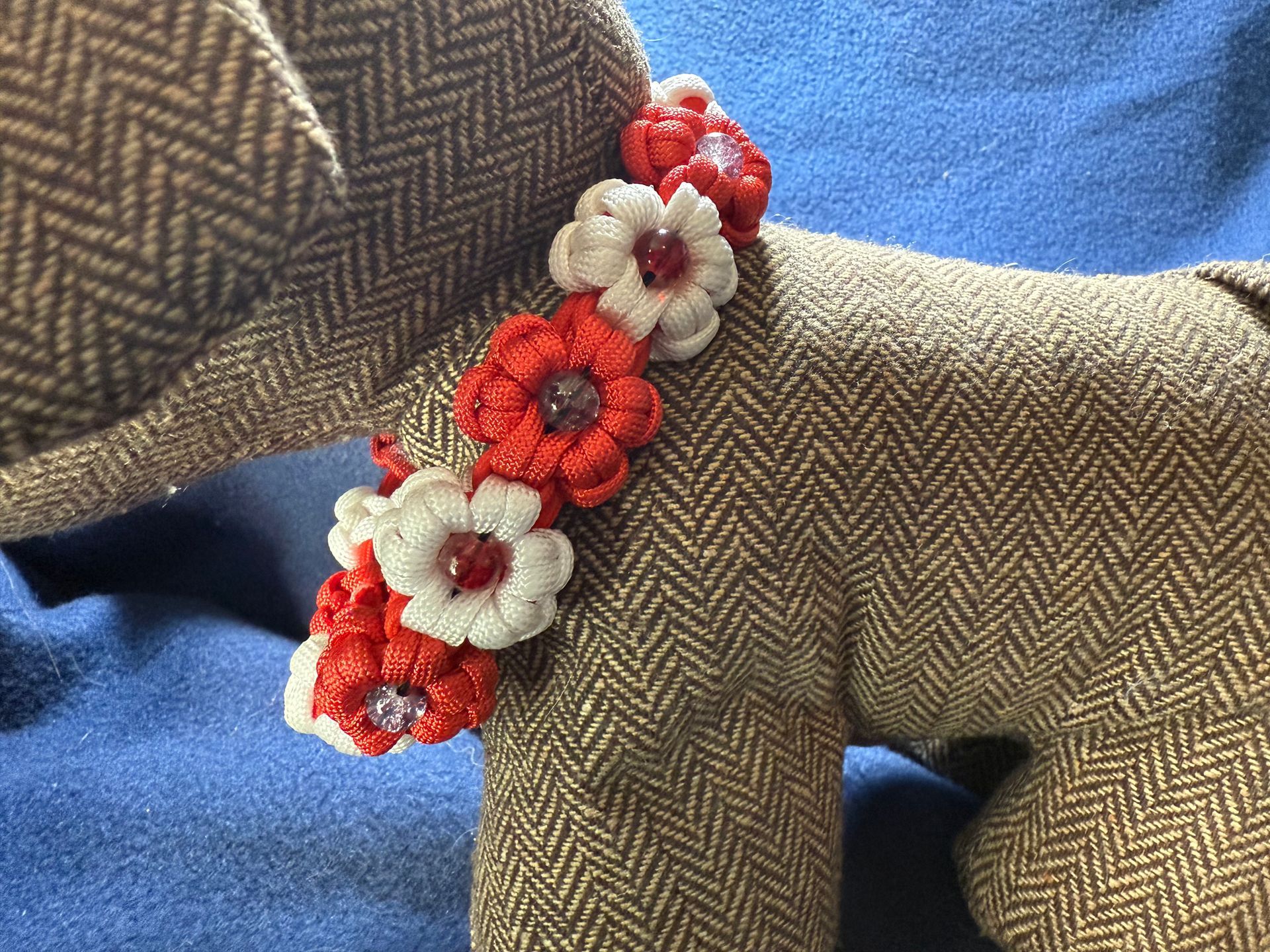 red and white flower dog collar