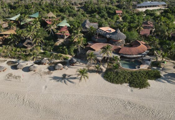 An aerial view of a tropical resort with a swimming pool surrounded by palm trees.