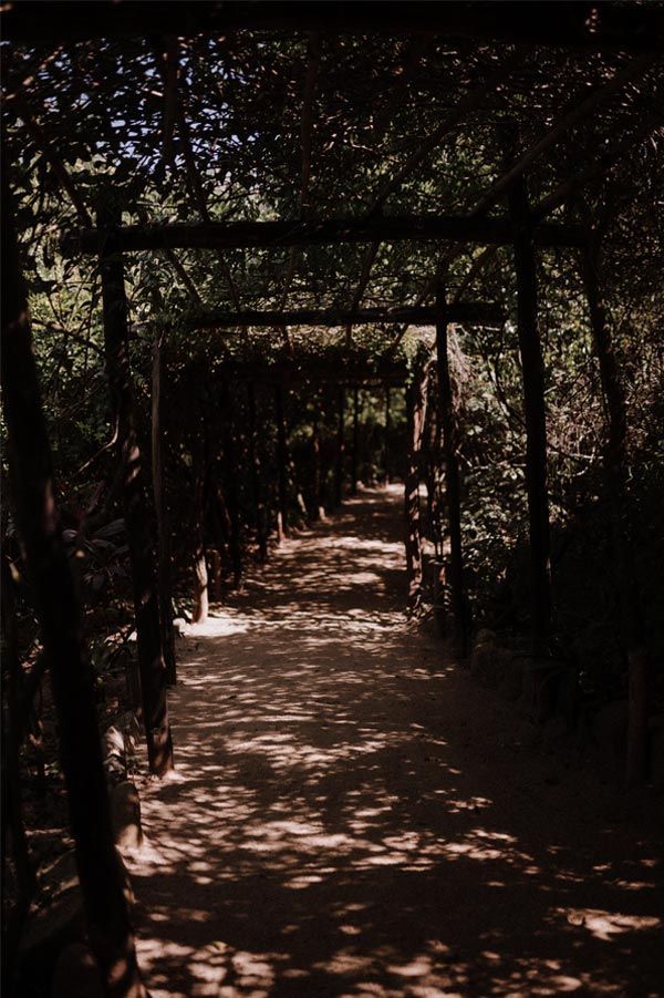 A path in a dark forest with trees covering it