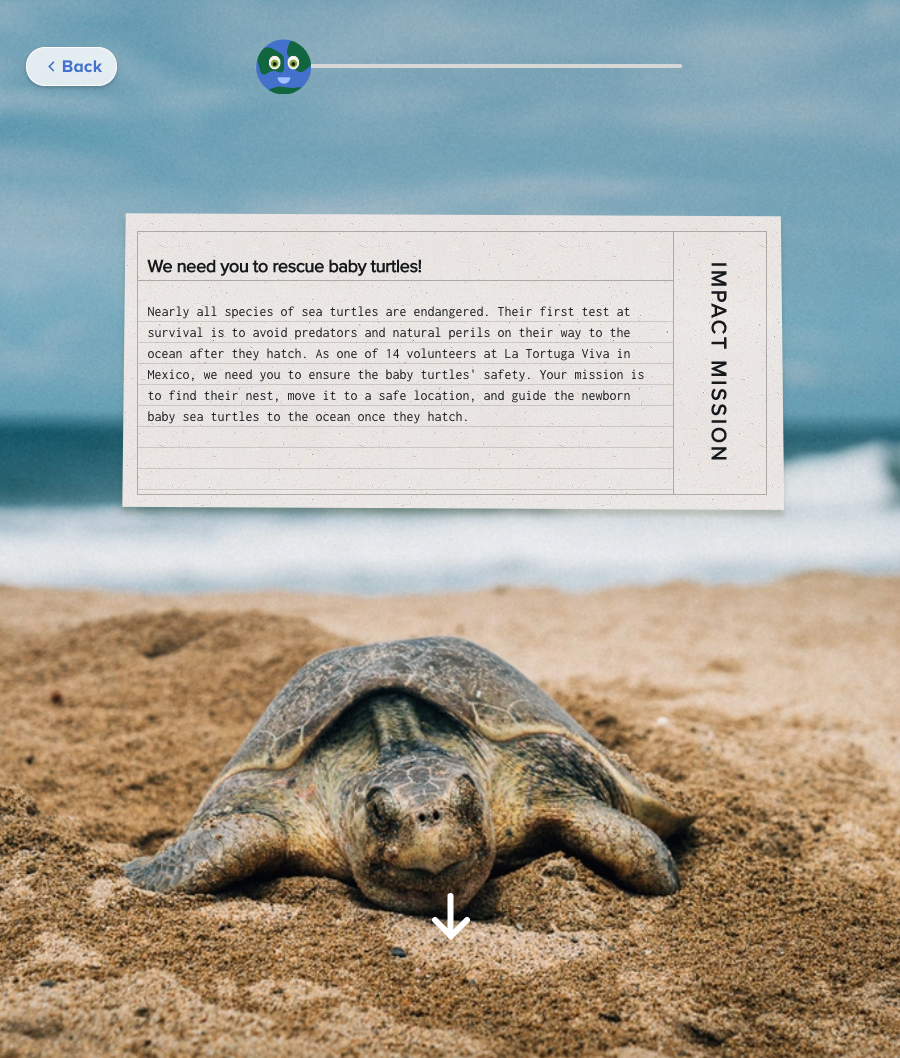 A sea turtle is laying in the sand on a beach.