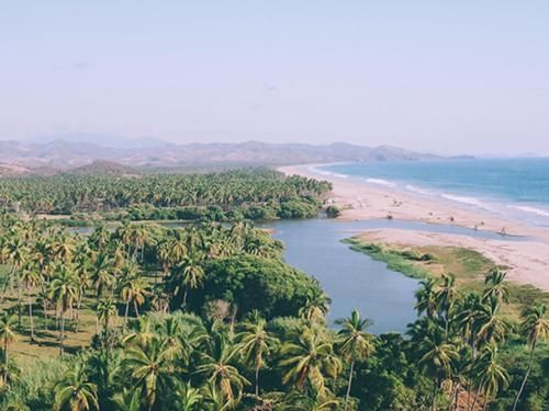 A river runs through a lush green forest next to a beach.
