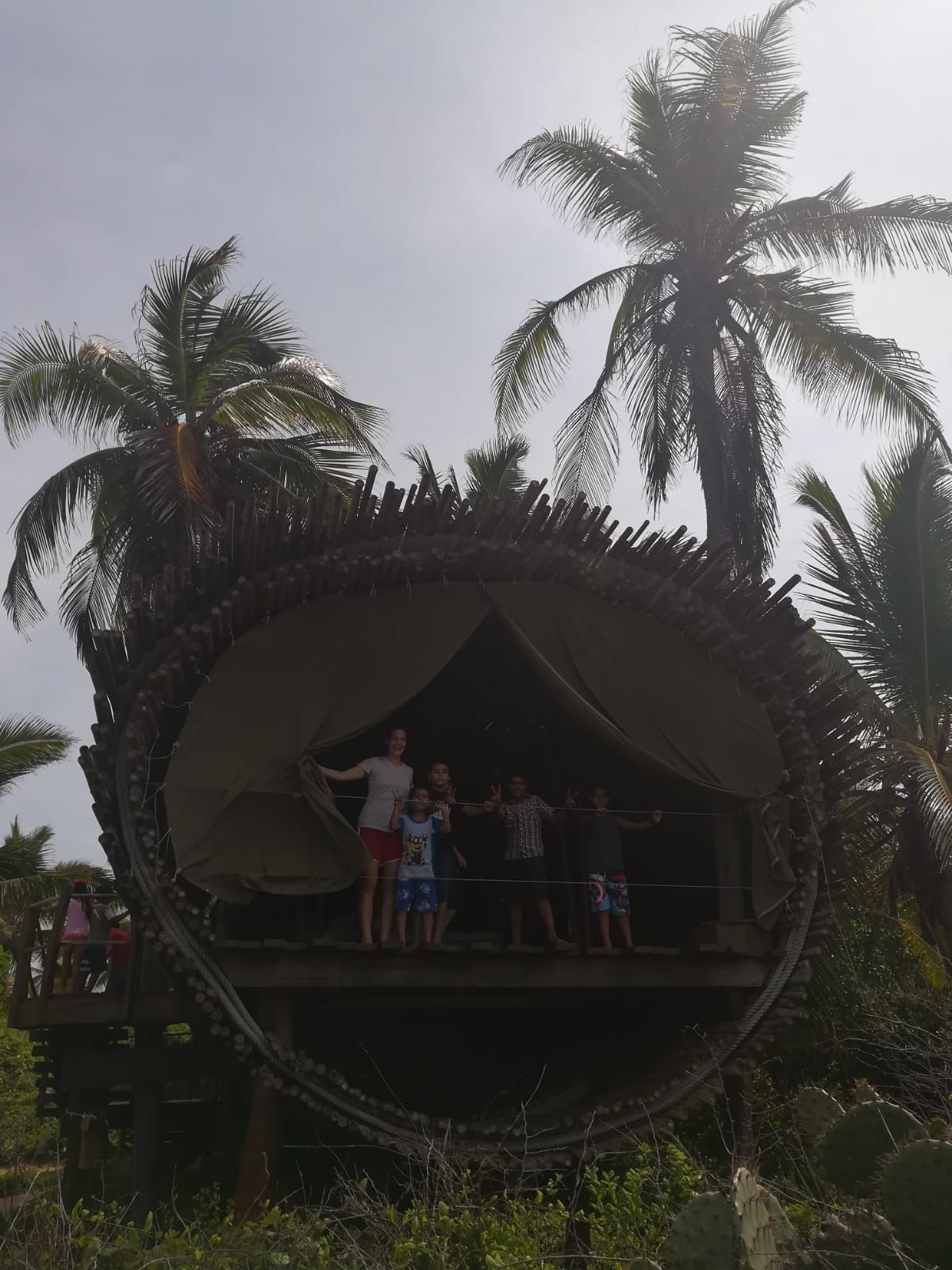 A group of people standing on top of a circular structure surrounded by palm trees