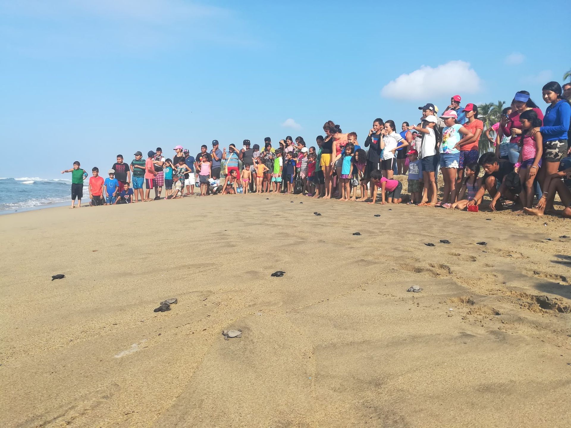 A large group of people are standing on a sandy beach