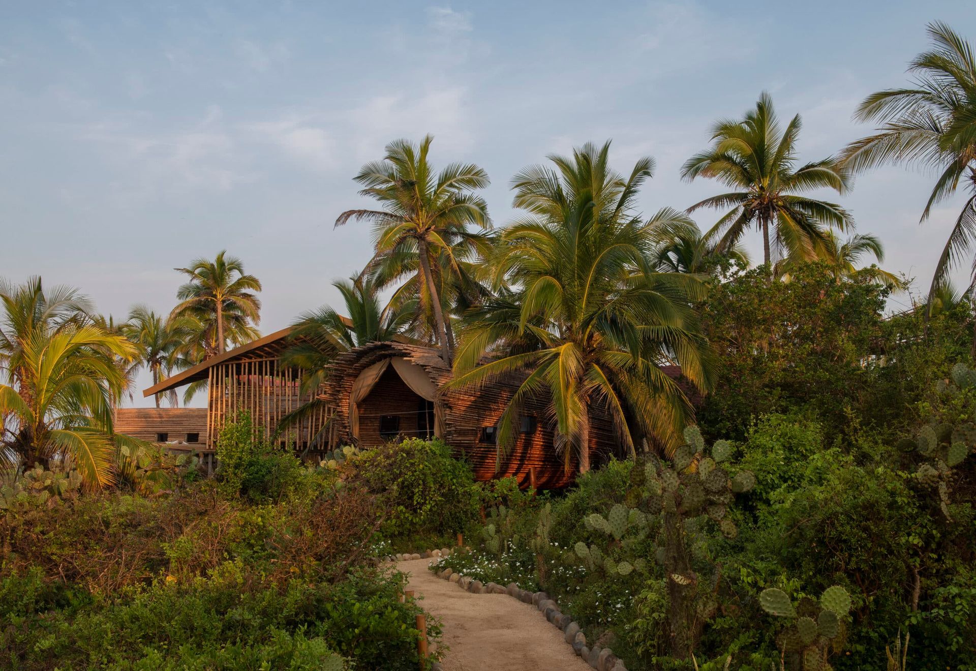 A house is surrounded by palm trees and a dirt path.