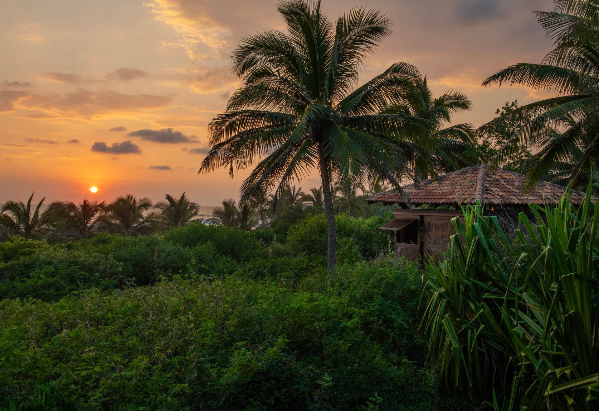 A sunset over a tropical forest with palm trees and a house in the foreground