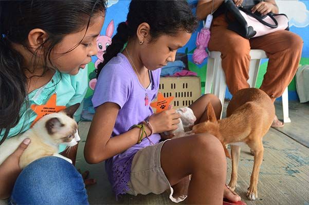 Two young girls are sitting on the floor with a cat and a dog.