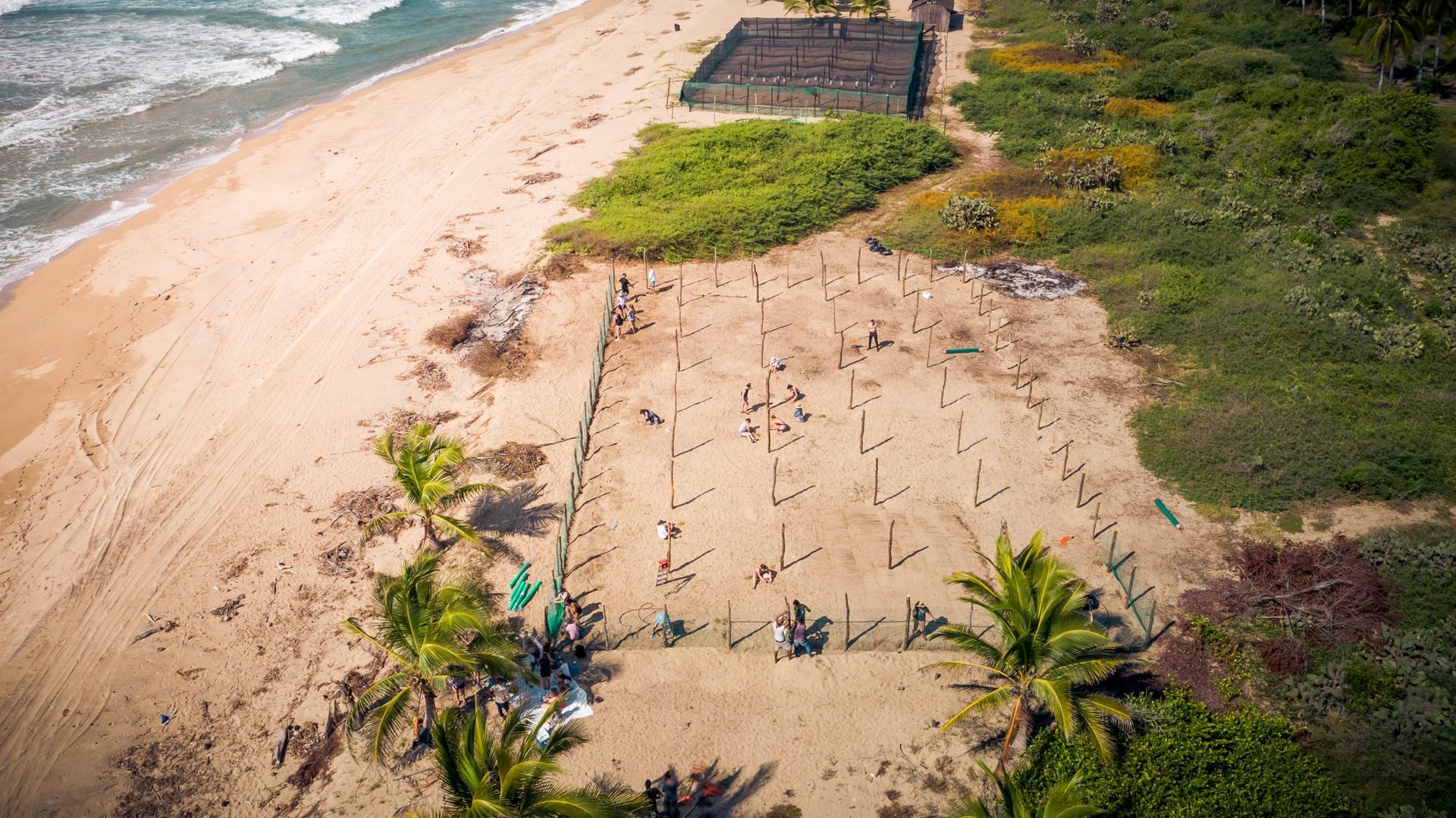 An aerial view of a beach with palm trees and a building in the middle.