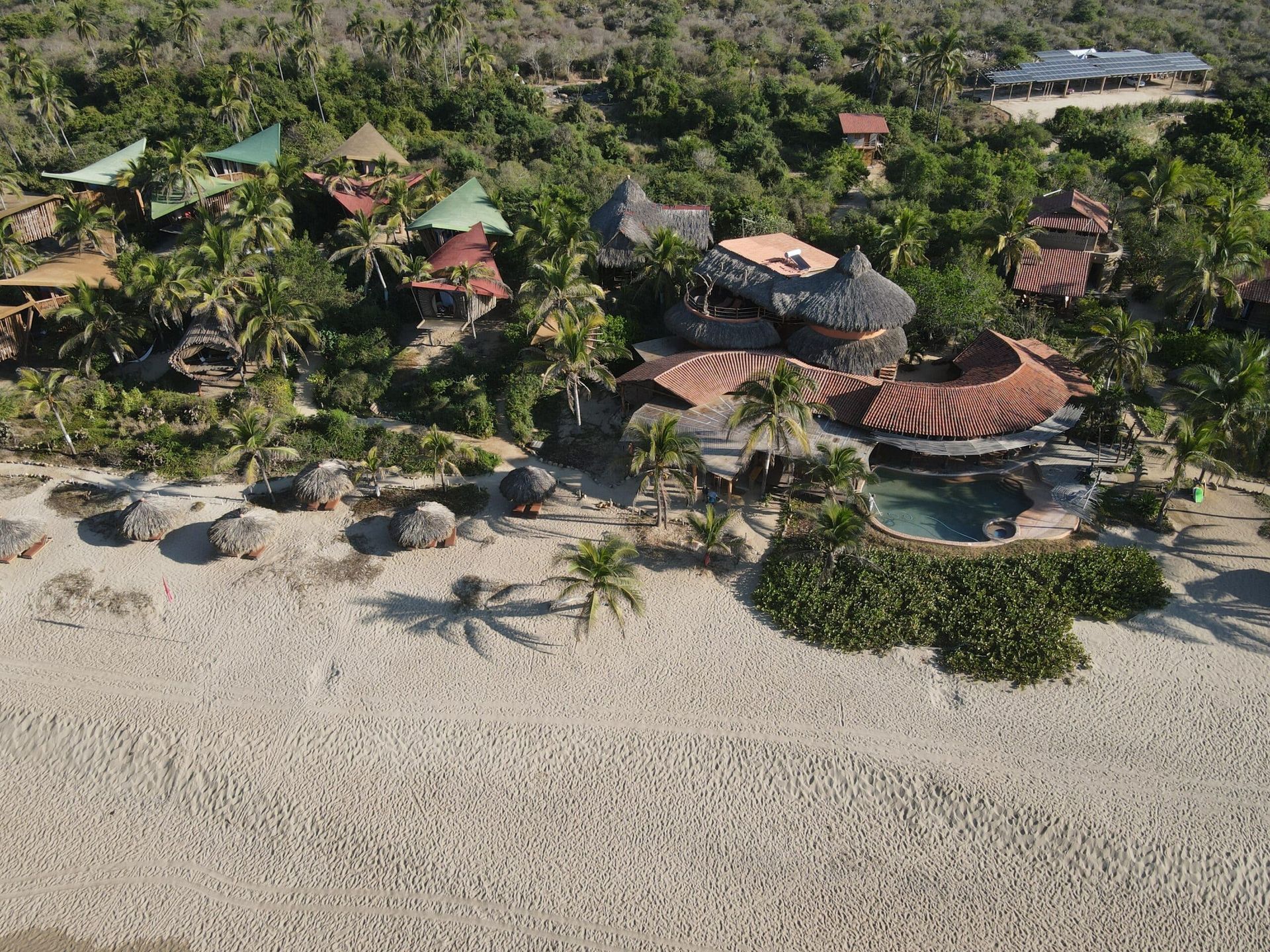An aerial view of a beach with houses and palm trees