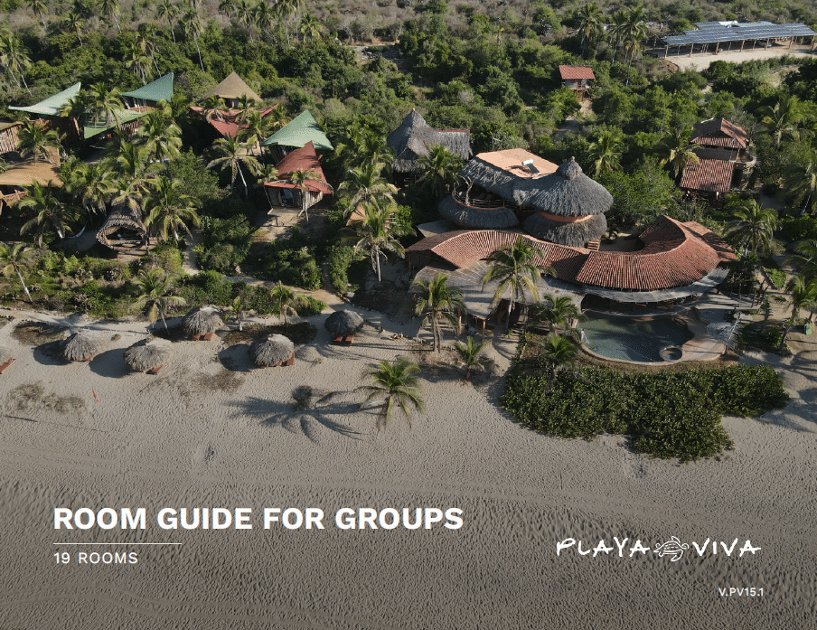 An aerial view of a resort called playa viva