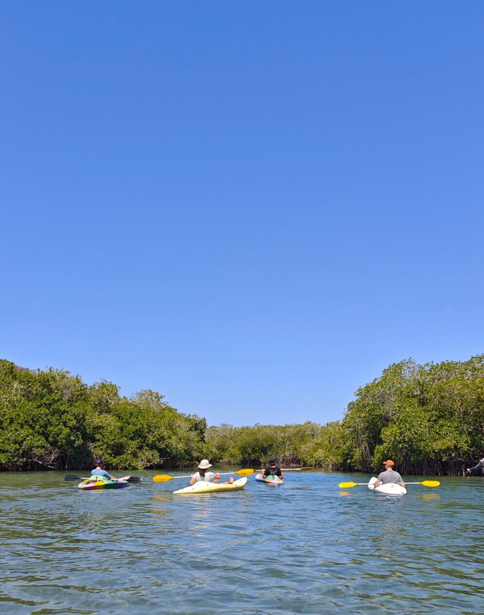 A man is sitting on a red atv on top of a hill.