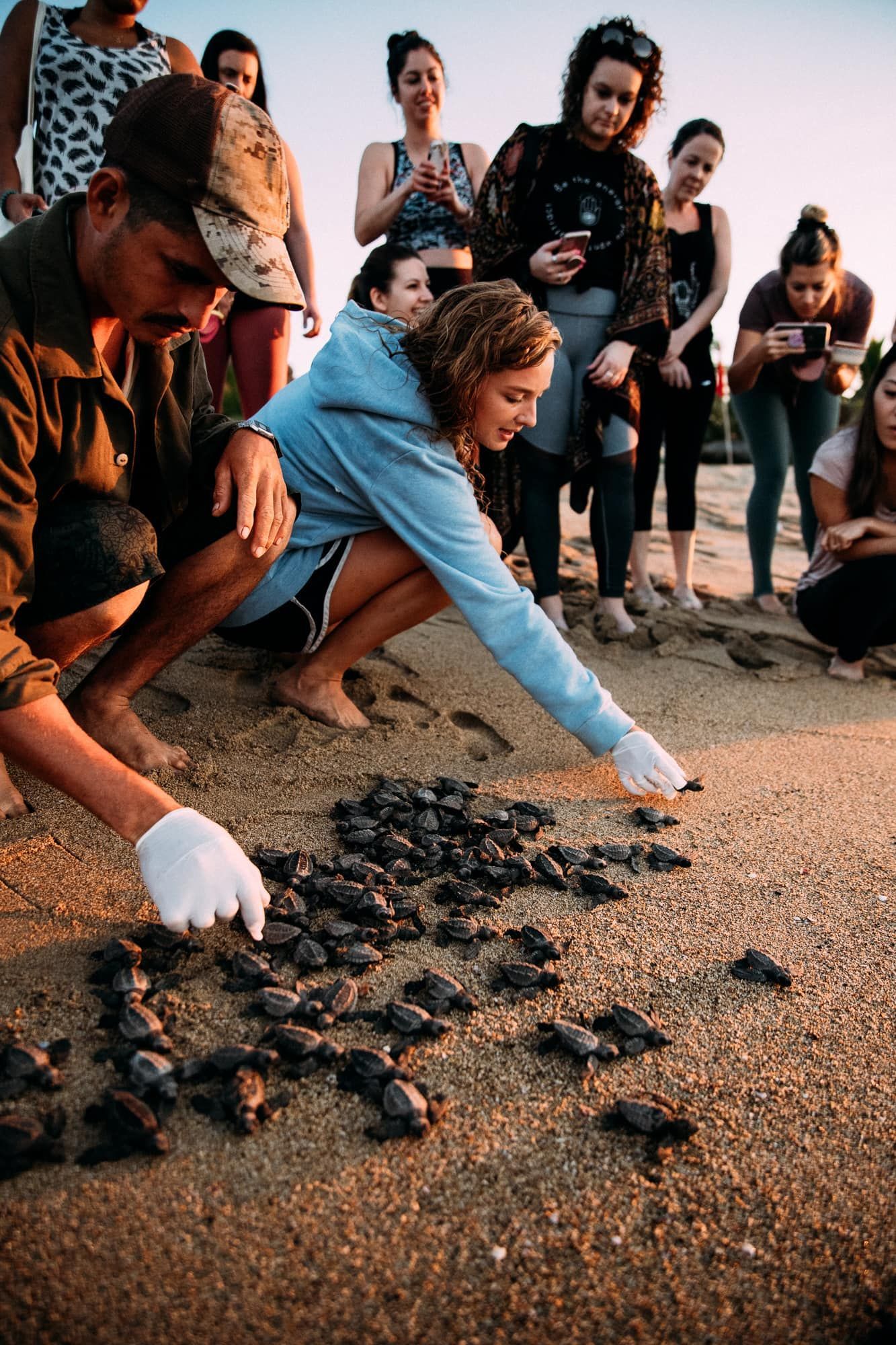 A group of people are looking at sea turtles on the beach.