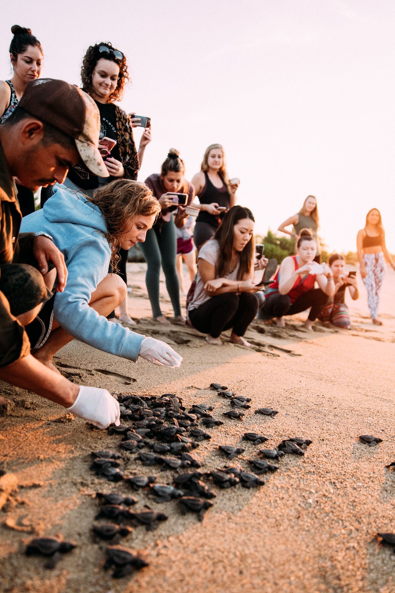 A group of people are looking at sea turtles on the beach.
