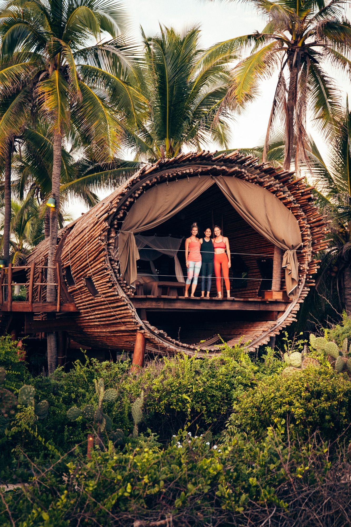A couple is standing in front of a tree house surrounded by palm trees.