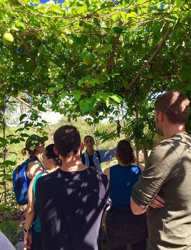 A group of people are standing under a tree.