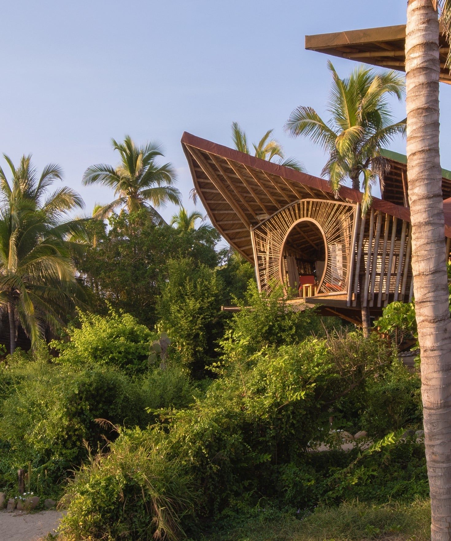 A wooden house surrounded by palm trees and bushes