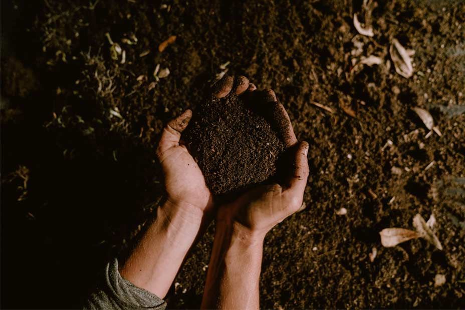 A person is holding a pile of dirt in their hands.