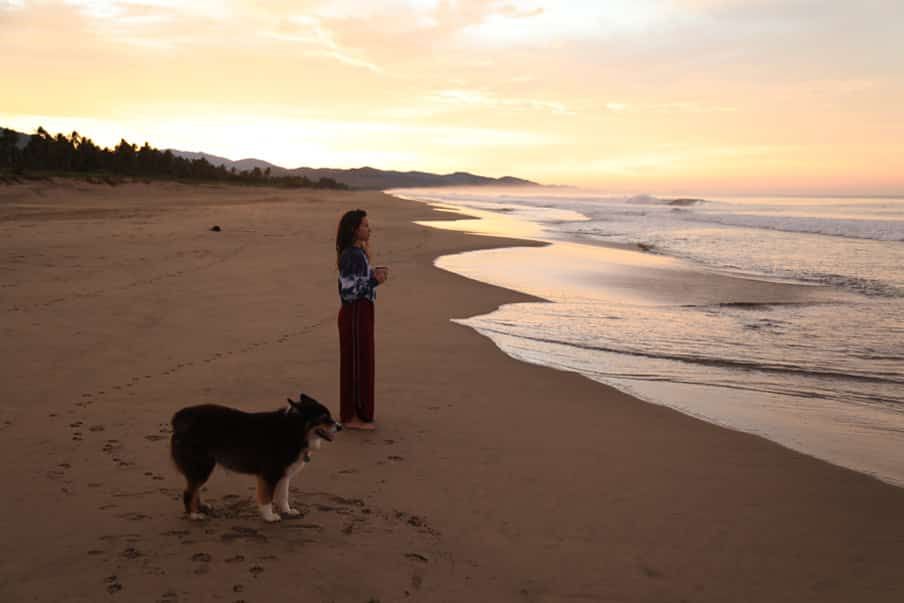 A woman and a dog are standing on a beach at sunset.