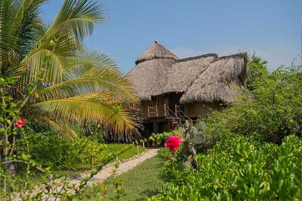 A house with a thatched roof is surrounded by palm trees and bushes.