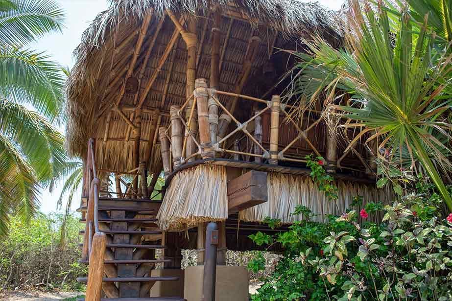 A thatched hut with stairs leading up to it is surrounded by palm trees.