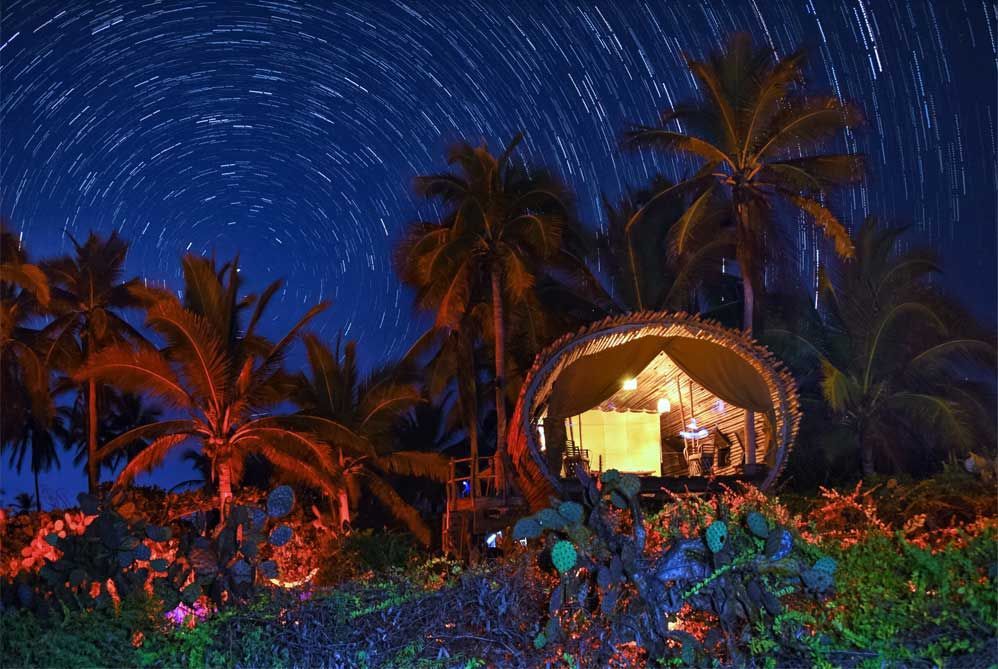 A tent is lit up in the middle of a tropical forest at night.