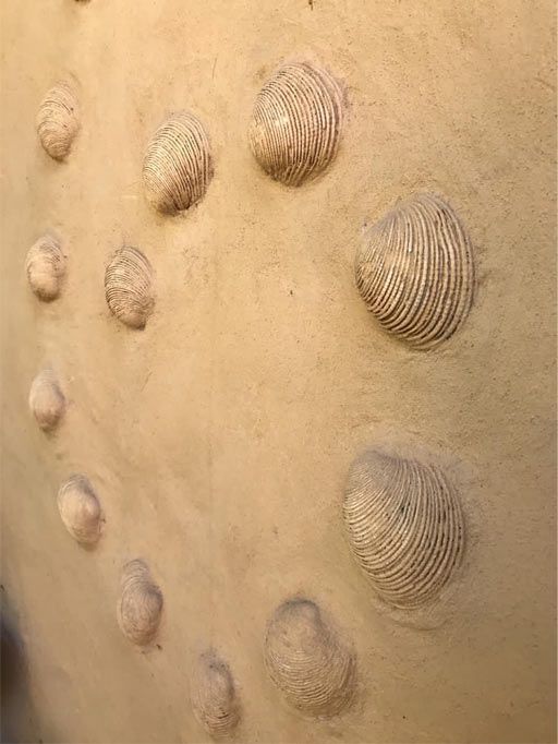 A close up of a person 's back with a lot of bumps on it.