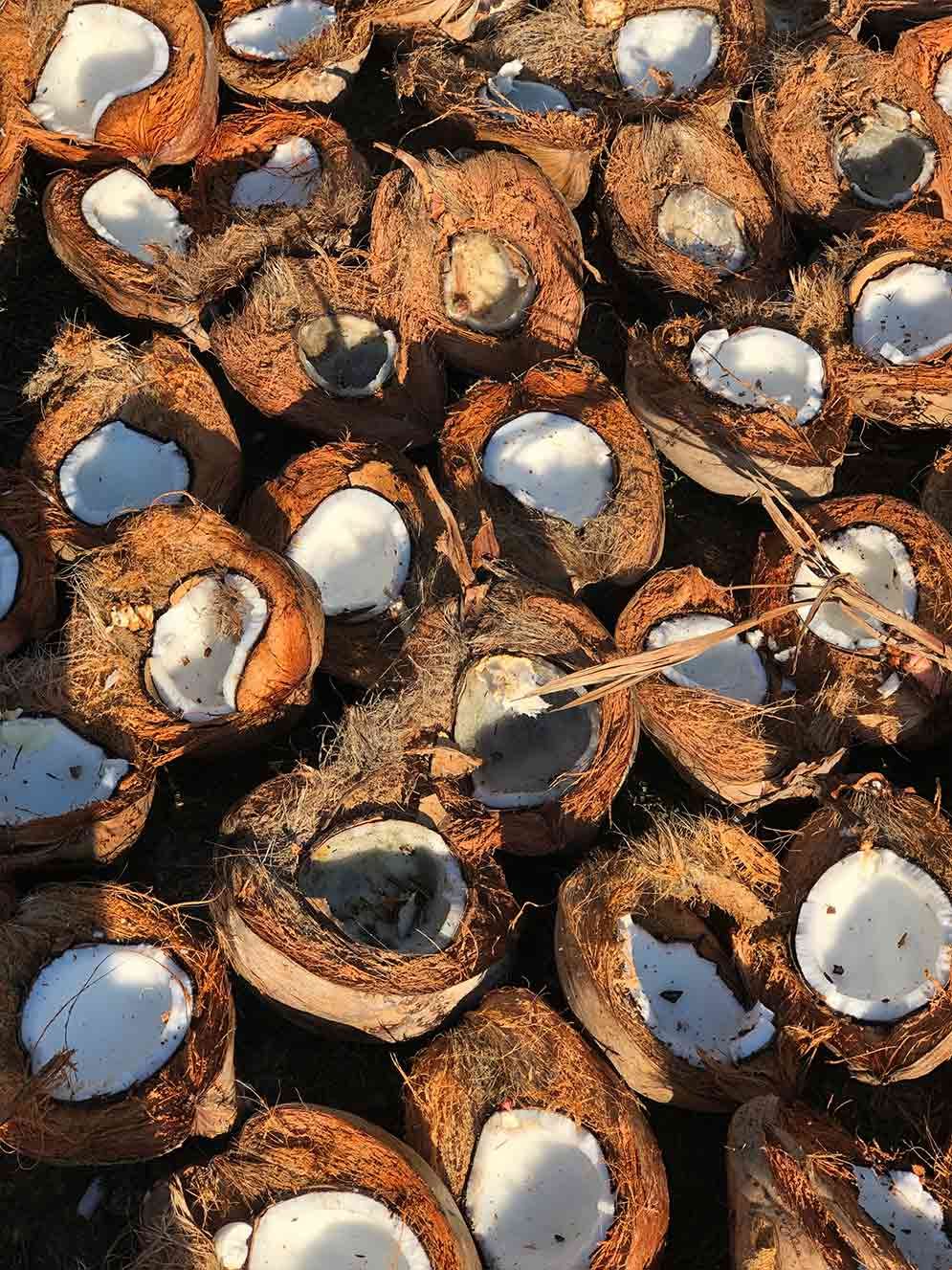 A pile of coconuts sitting on top of each other on a table.