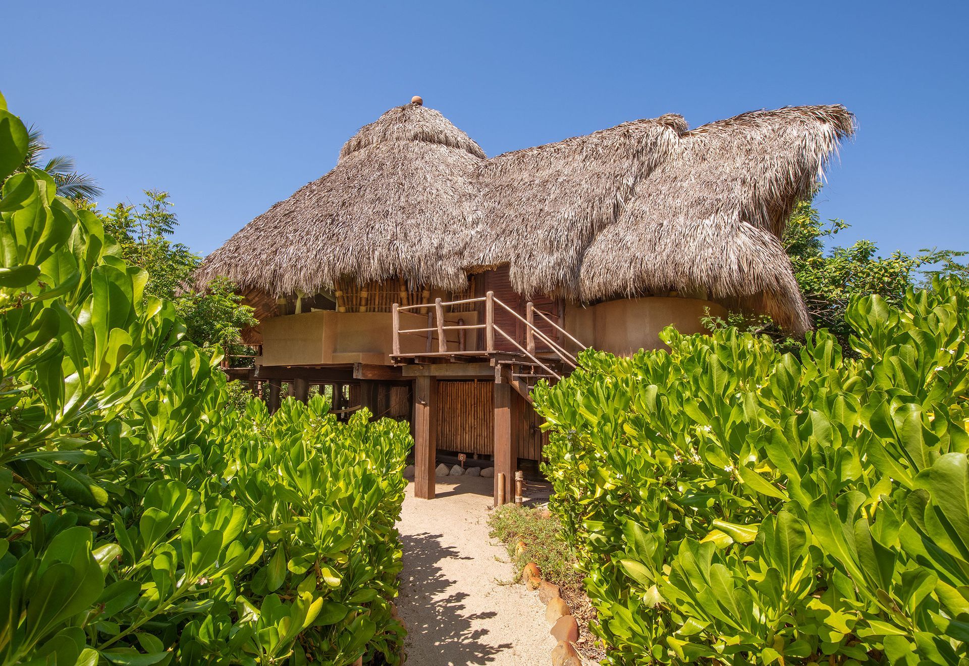 A small hut with a thatched roof is surrounded by trees and bushes.