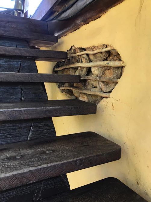 A wooden staircase with a heart shaped hole in the wall