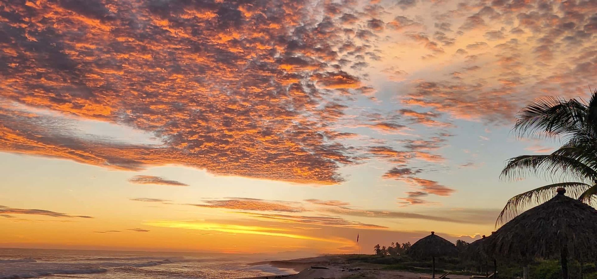 A sunset over the ocean with a palm tree in the foreground.