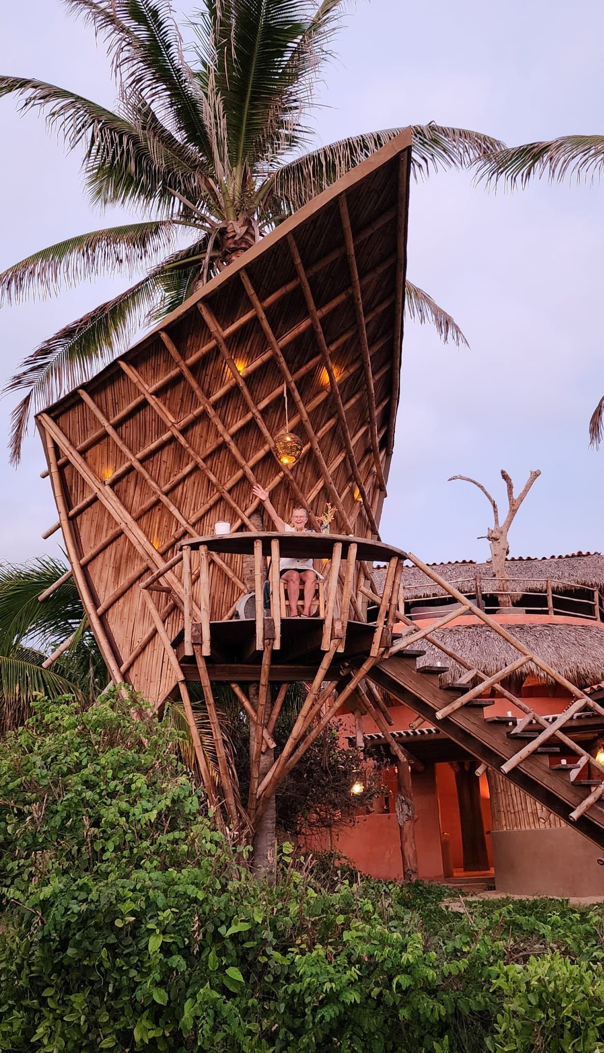A wooden house with a thatched roof is surrounded by palm trees.