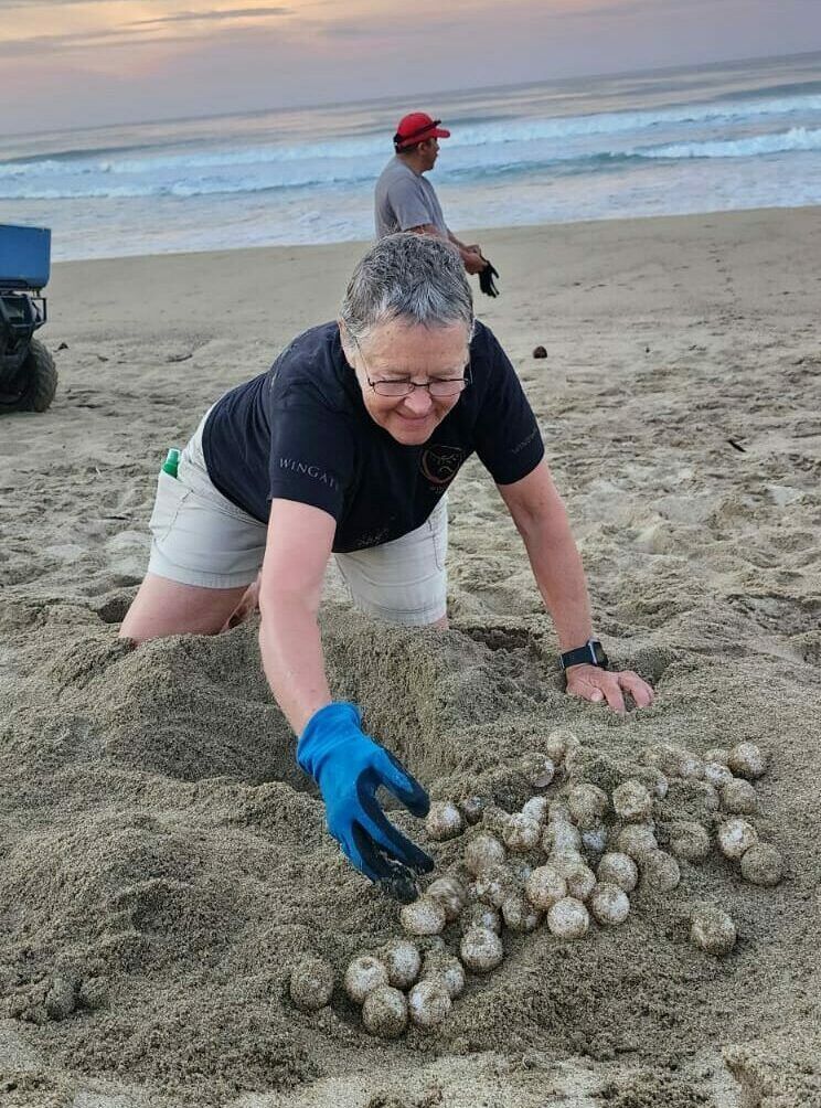 A woman is digging in the sand on a beach.