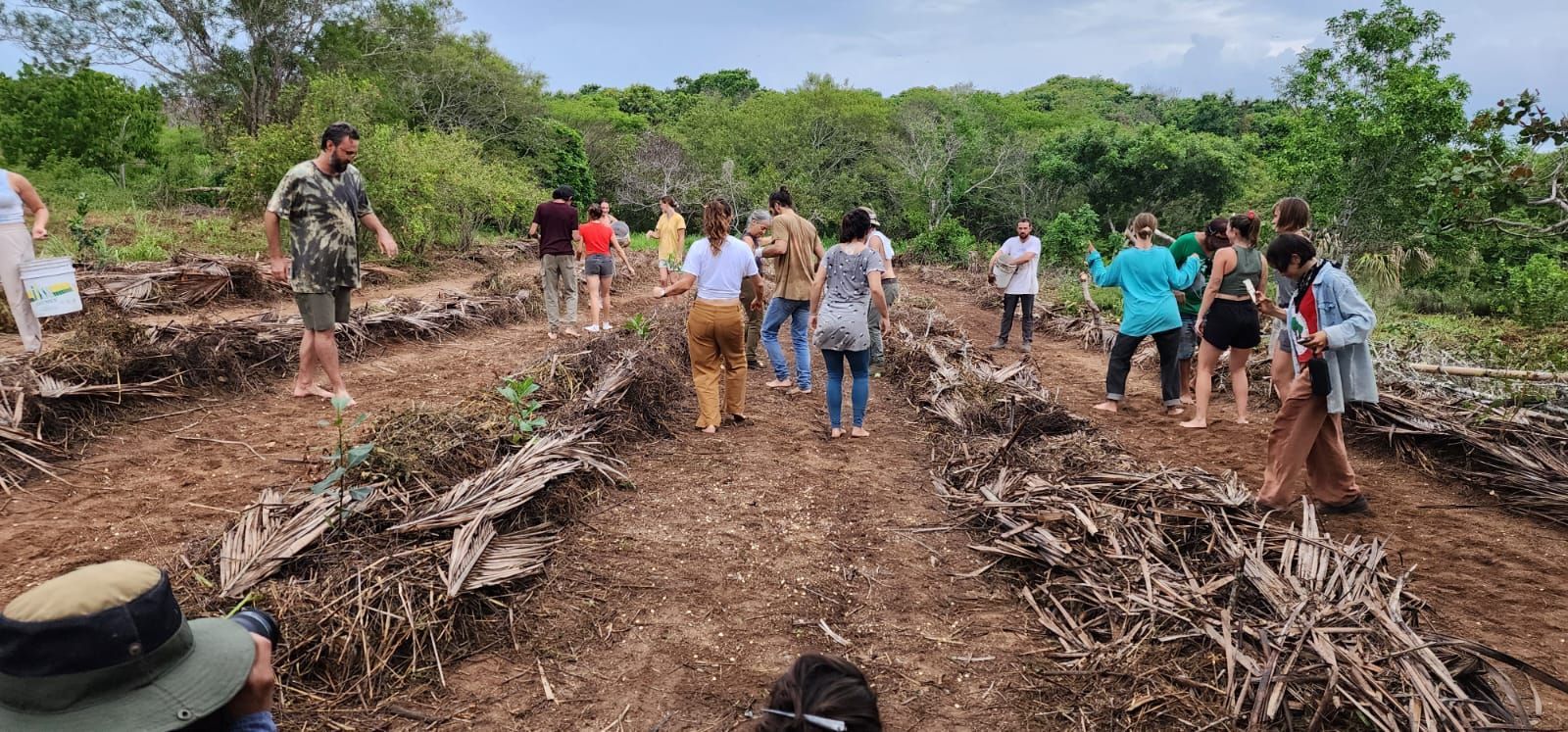 A group of people are walking down a dirt road in the woods.