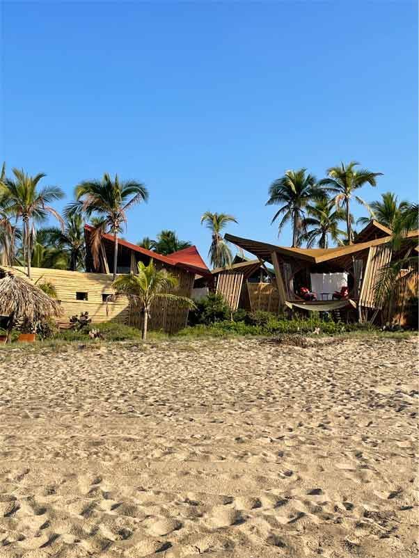 A beach with houses and palm trees in the background