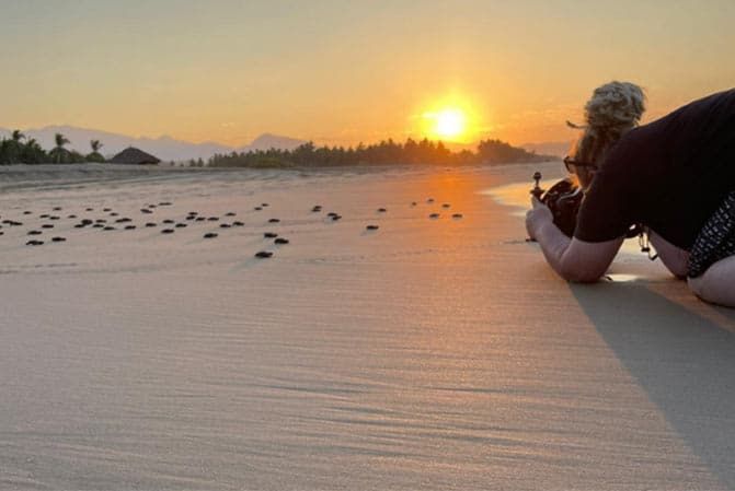 A person is laying on the beach taking a picture of the sunset.