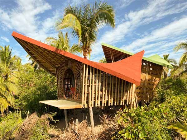 A wooden house with a red roof is surrounded by palm trees.